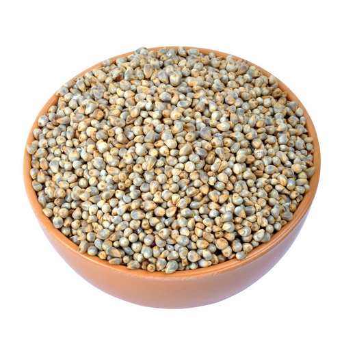 Bajra pearl millet grain in sacks