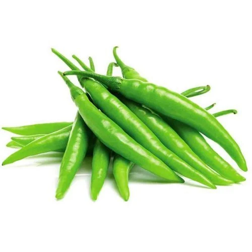 G4 green chillies in export cartons