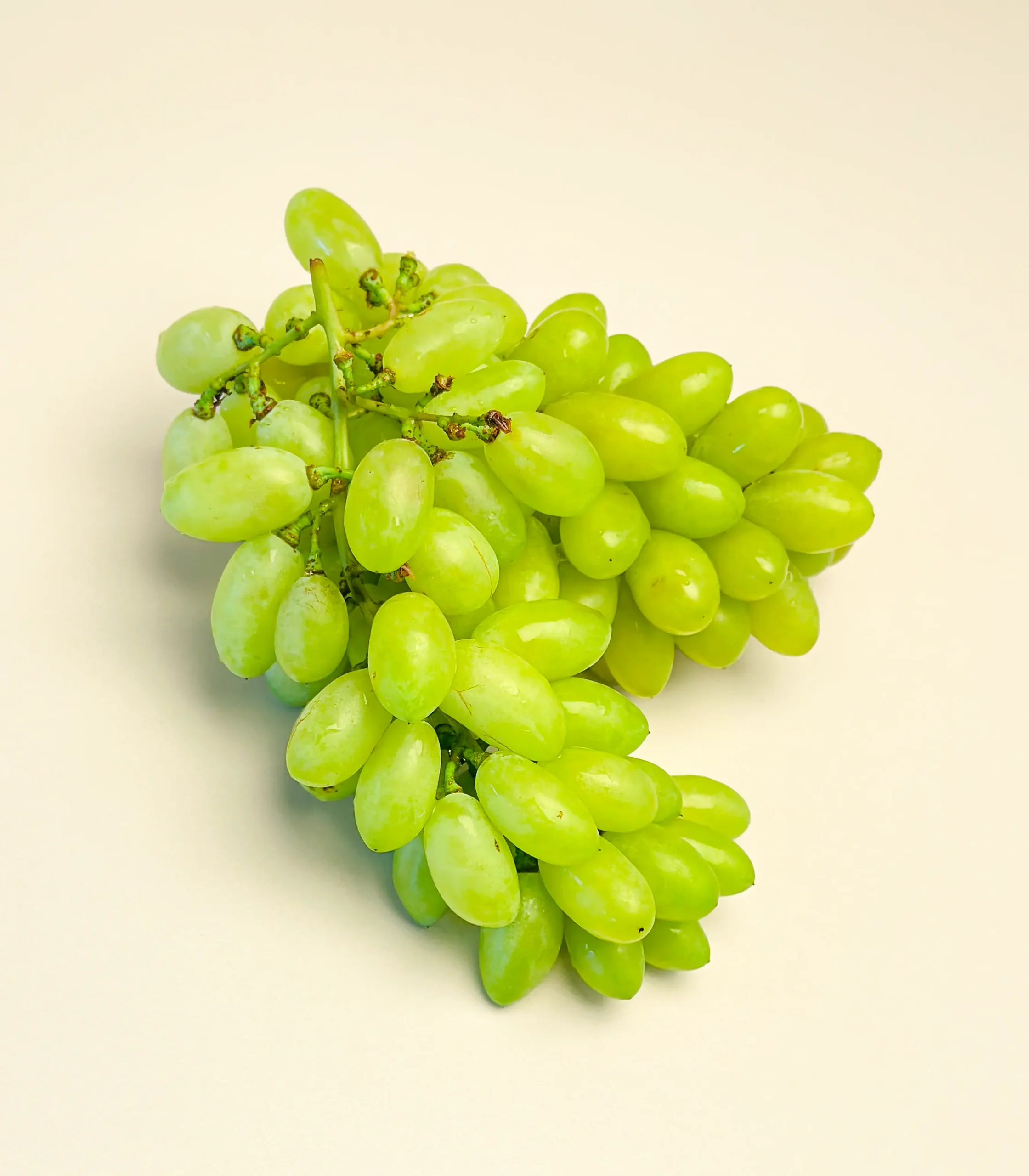 Export table grapes in 5 kg punnet boxes