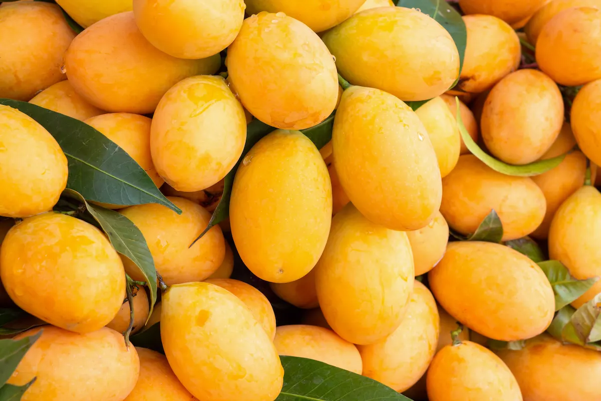 Alphonso mangoes
